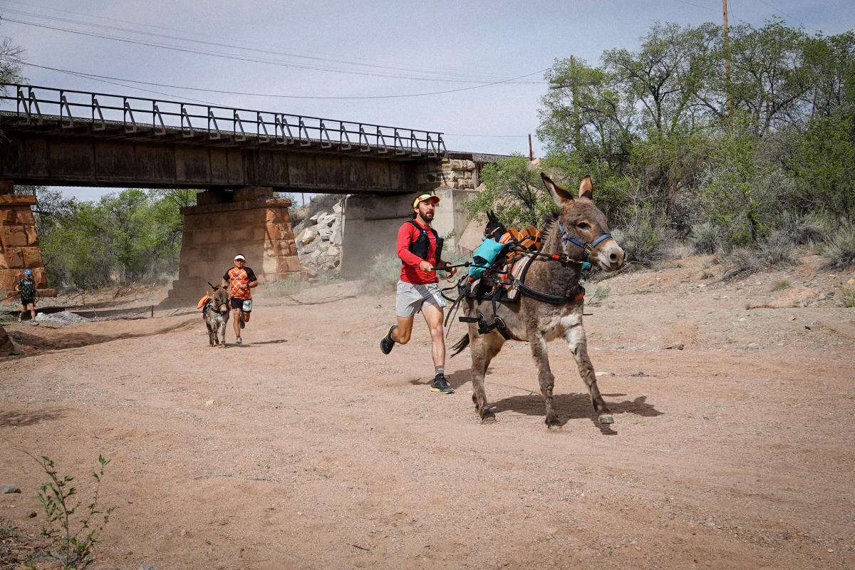 New Mexico Pack Burro Racing Guide