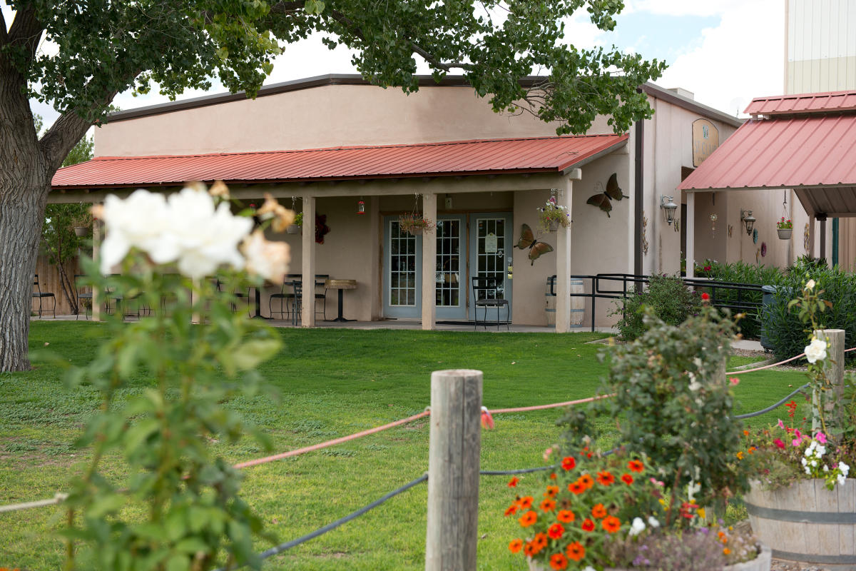 Explore New Mexico Wineries in the Mesilla Valley