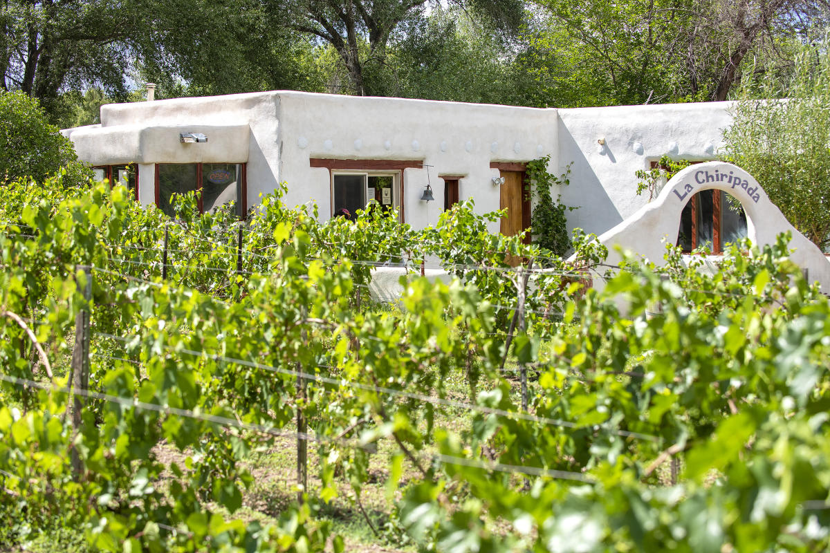 Try These New Mexico Wineries near Santa Fe and Taos