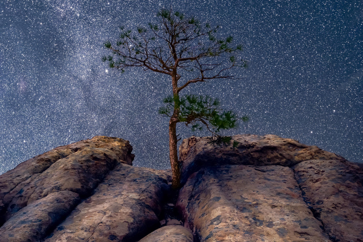 Visit New Mexico's Dark Sky Places for a Stargazing Adventure