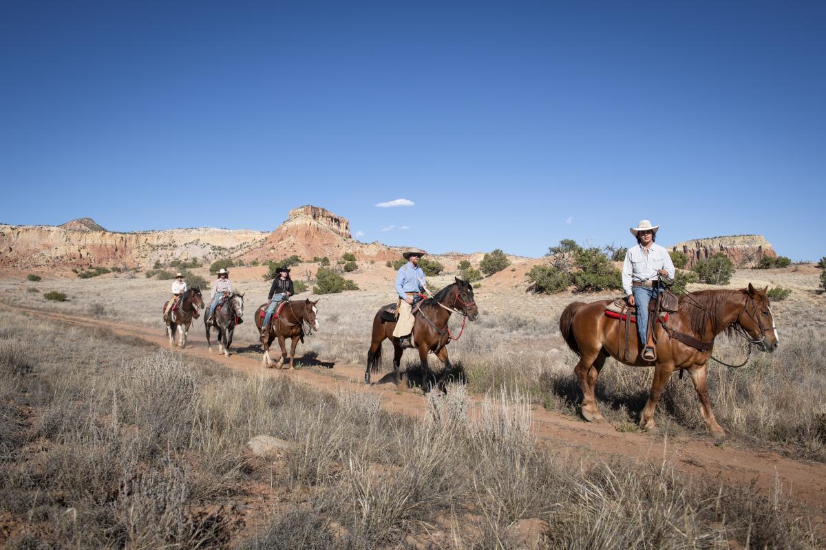 New Mexico Trails for Every Pace