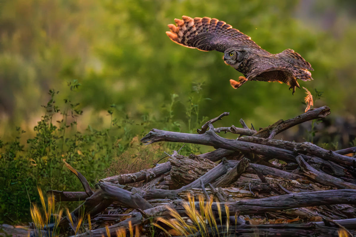 Meet the 23rd Annual New Mexico Magazine Photo Contest Grand Prize Winner