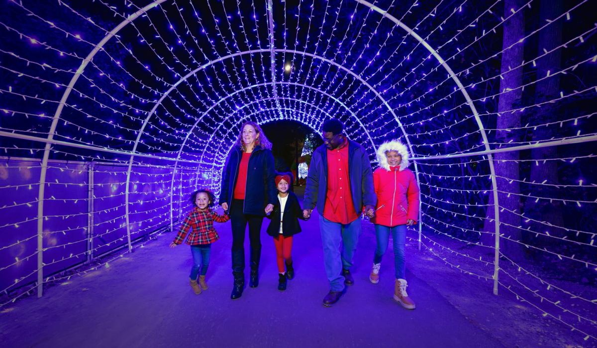 Christmas Events to Attend | Things to Do in North Myrtle Beach, image size:1200x701