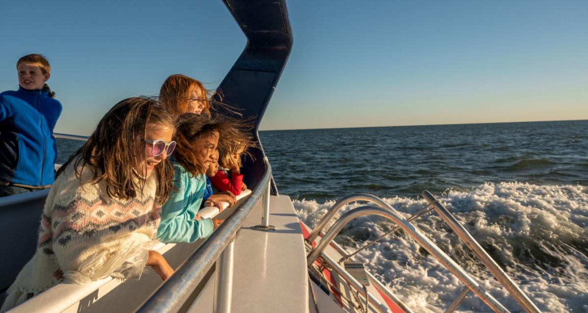 Dolphin Tours in North Myrtle Beach Waites Island, Sea Screamer