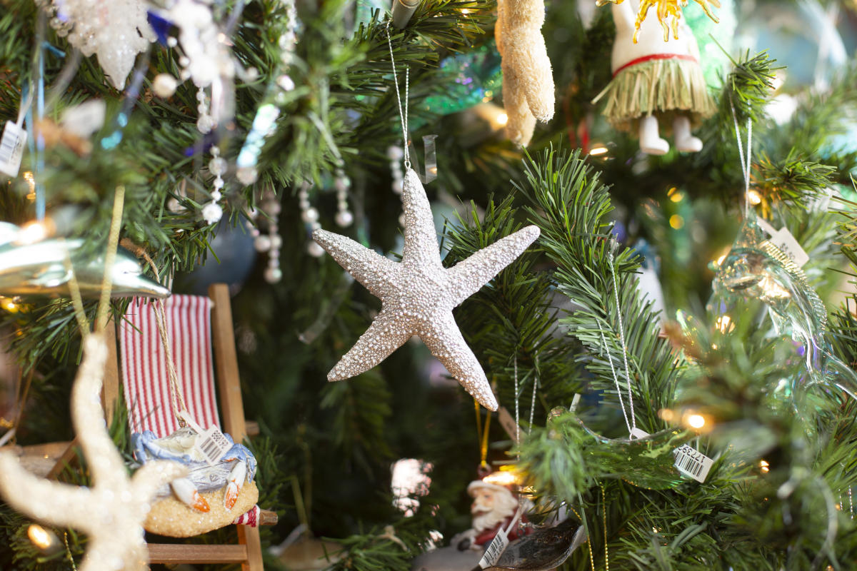 Christmas Events Along Grand Strand 2022 North Myrtle Beach Holiday Events | Parades, Lights & Festivals