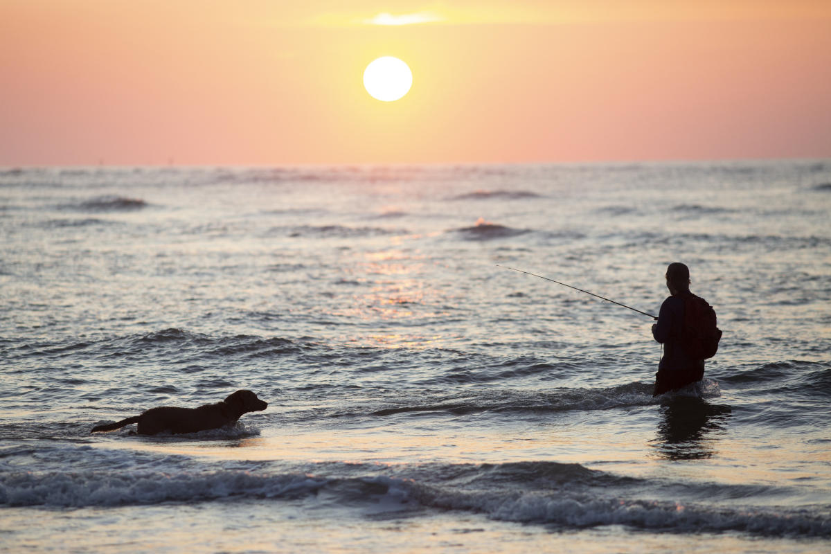 Official North Myrtle Beach Visitors Guide Explore North