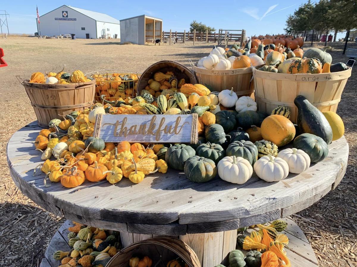 Homestead Pumpkin Patch 20-easy-creative-diy-pumpkin-decorations-mostly-free