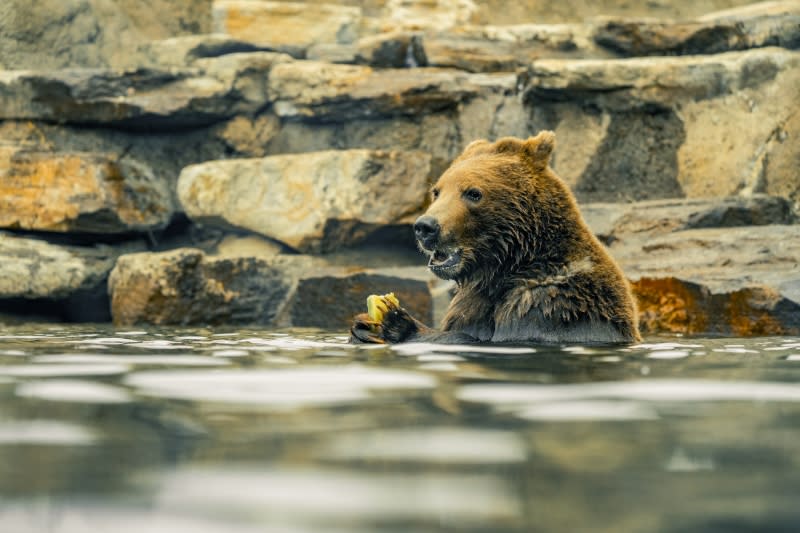 Things to Do in Oakland, CA | Top Attractions & Activities