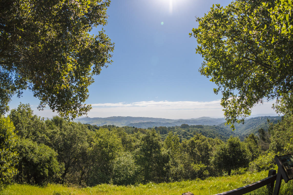 Where to Hike in Oakland, CA | Trails Near The City