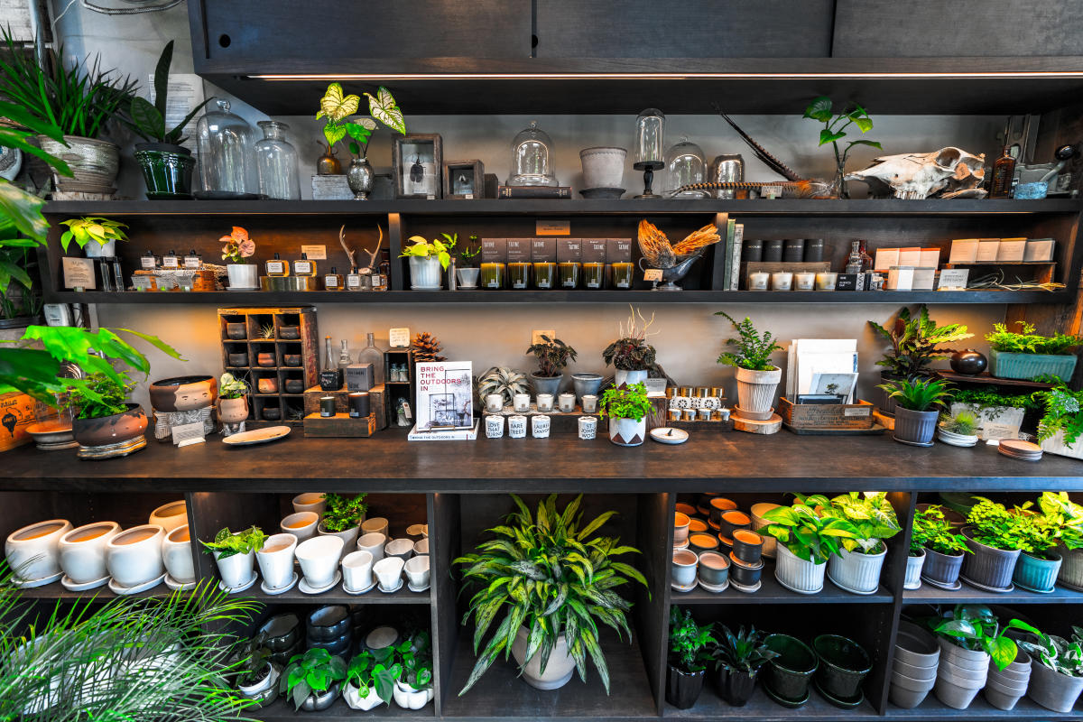 Unique Shops in Oakland Local Fashion, Records, Books