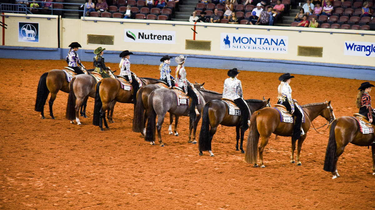Oklahoma City Horse Shows Equestrian Events & Rodeos