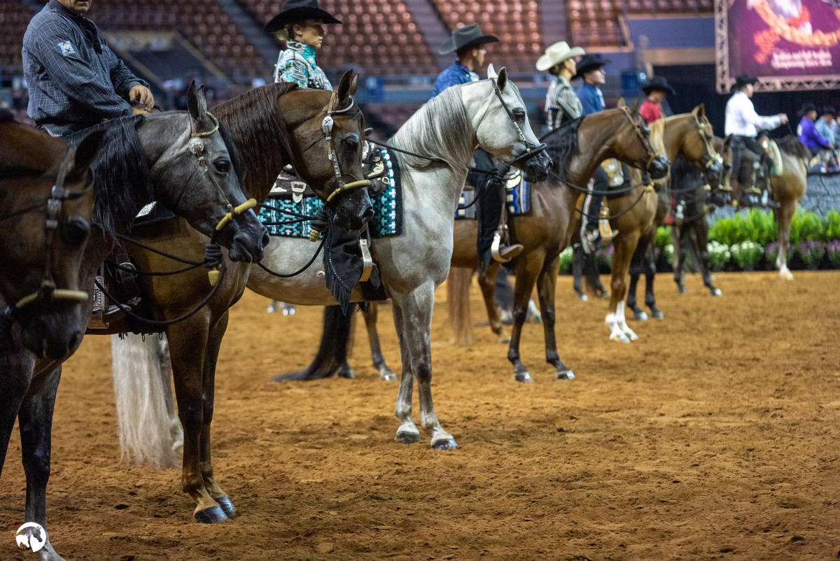 Oklahoma City Horse Shows Equestrian Events & Rodeos