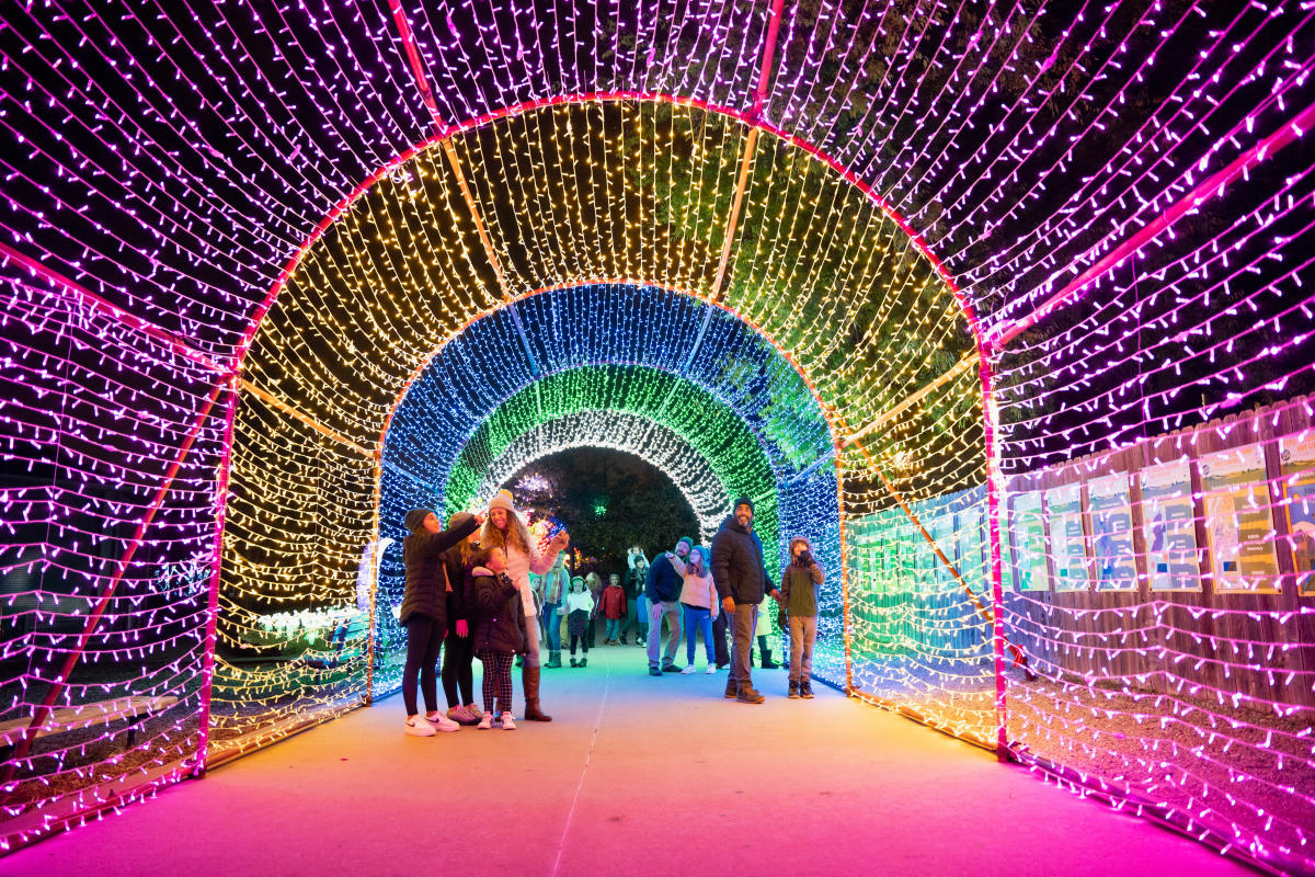 OKC ZOO SAFARI LIGHTS NOMINATED FOR BEST ZOO LIGHTS IN USA TODAY 10BEST