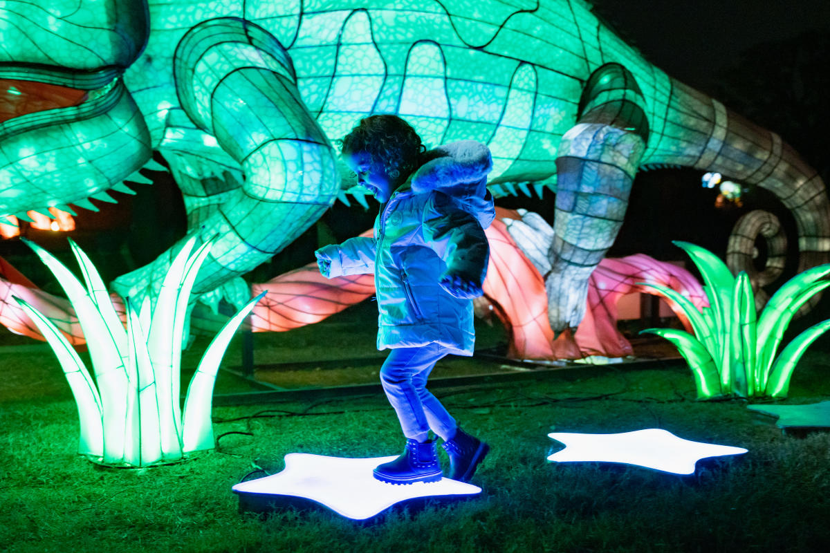 NOVEMBER/DECEMBER HAPPENINGS AT THE OKC ZOO