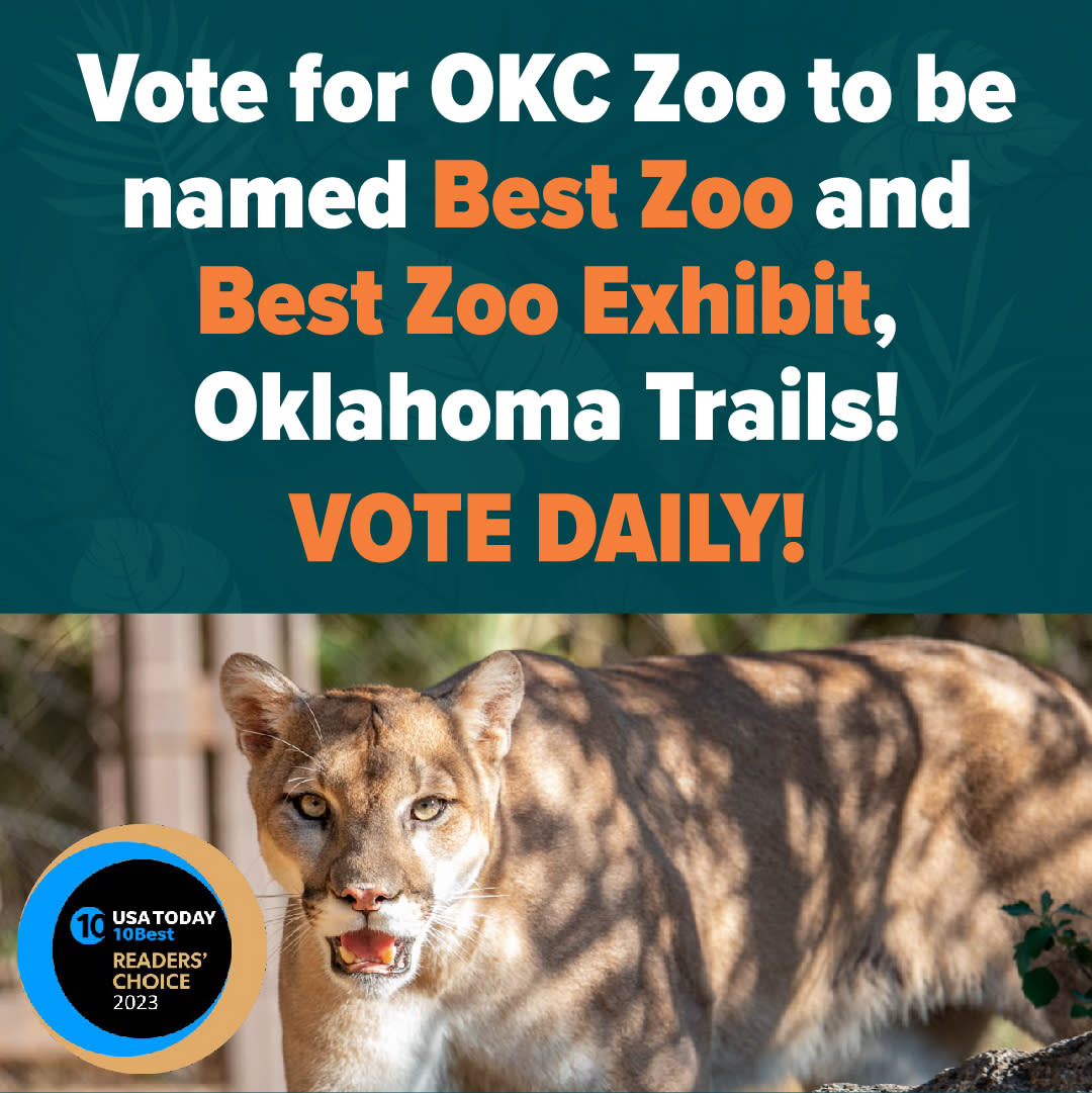 OKC ZOO NOMINATED AS BEST ZOO IN THE NATION IN USA TODAY 10BEST 2023