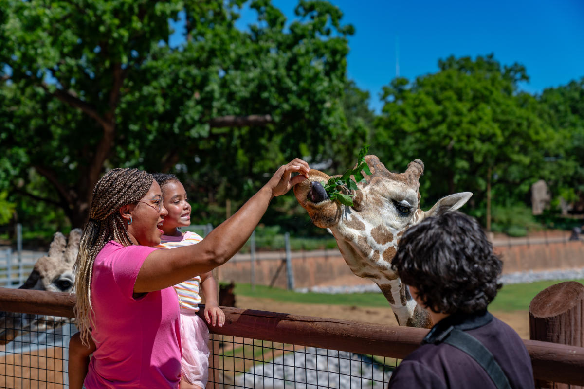 Spring Break in OKC: Top Activities, Events & Ideas