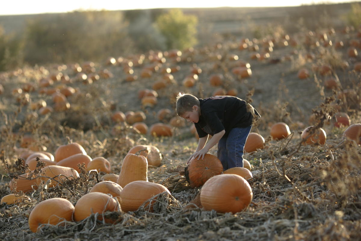 Pumpkin Patches, Haunted Houses & Fall Things to Do in Omaha