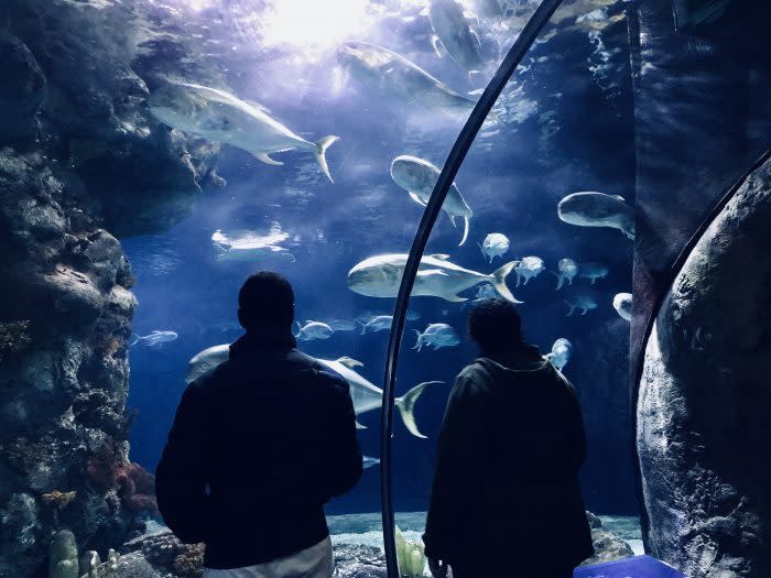 fun things to do in omaha fun things to do in omaha