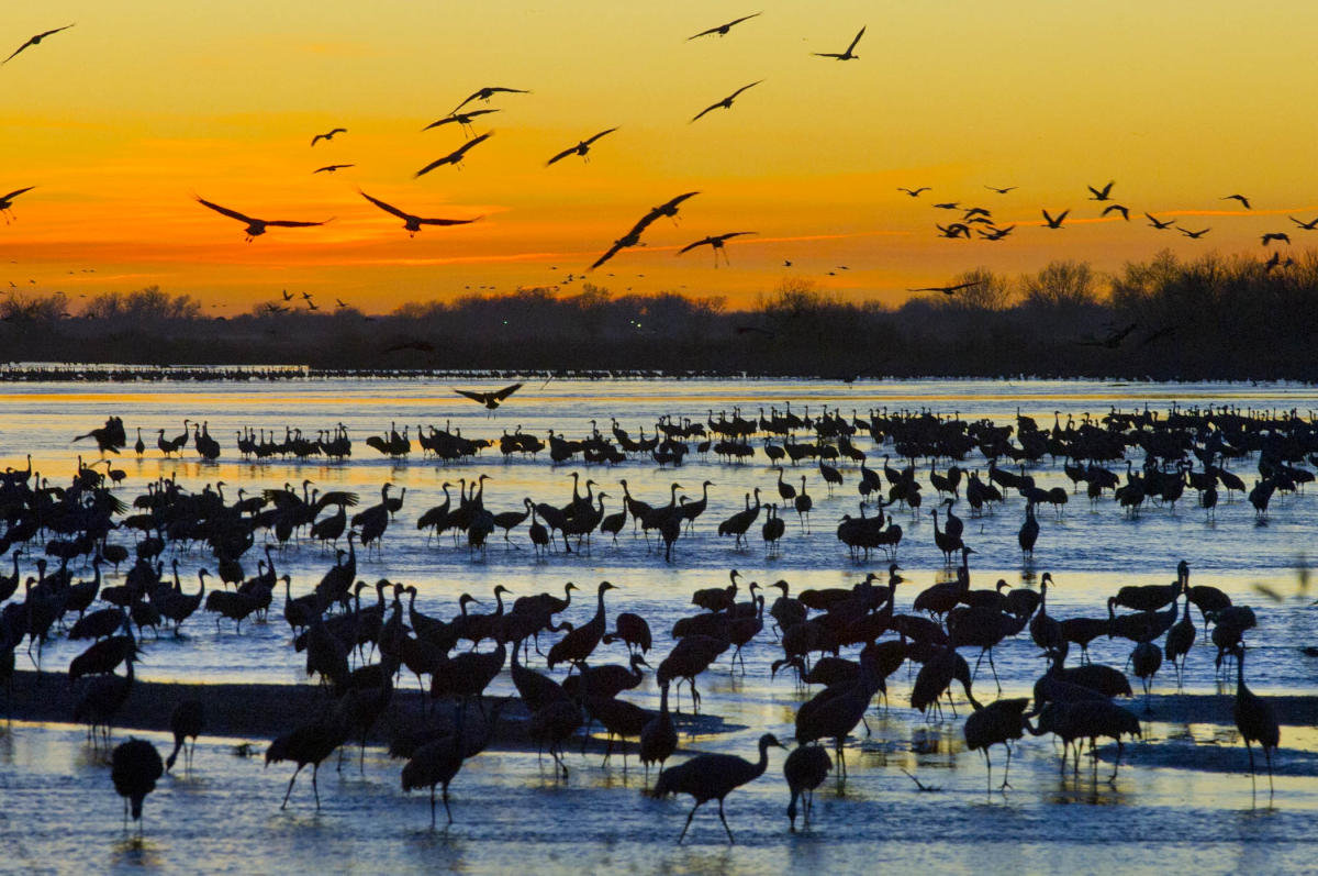 Springtime in Nebraska