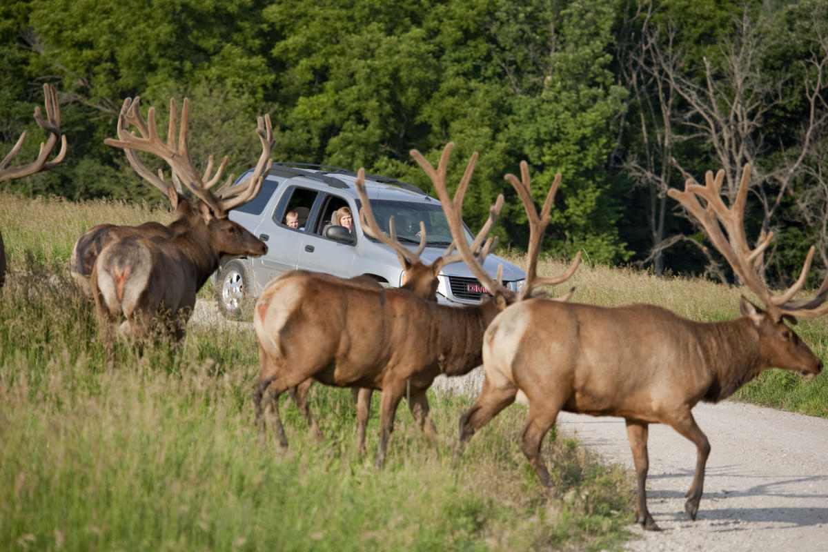 Omaha Day Trips, Tours & Itineraries | Best Getaway Ideas