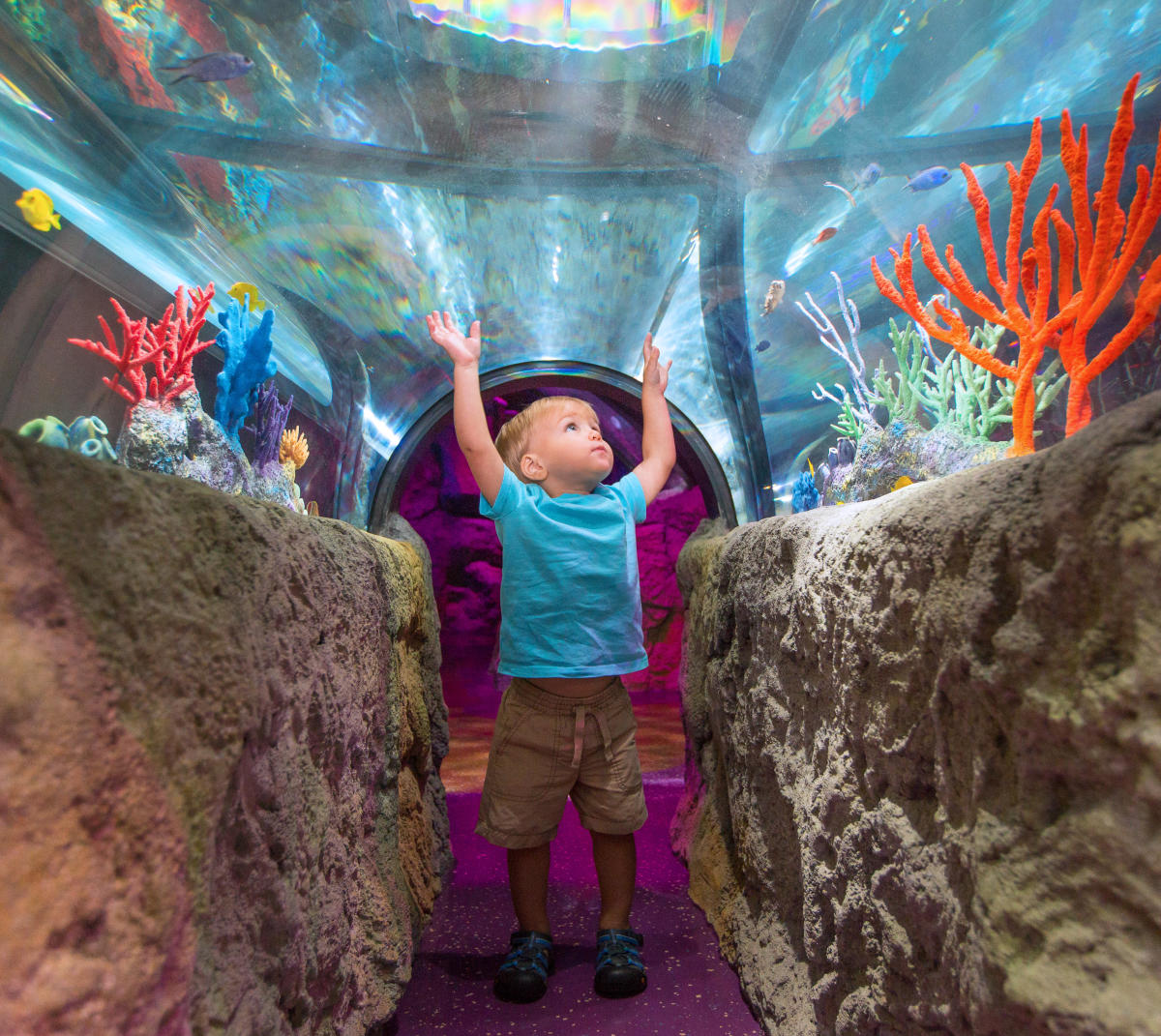 Best Tips Orlando with Infants & Toddlers | Things to Do With Kids
