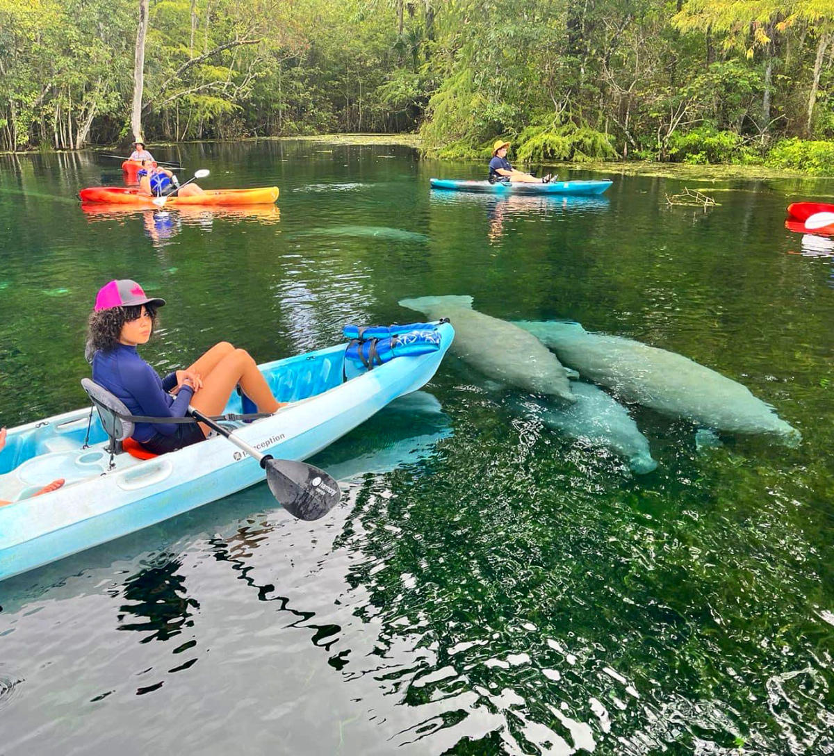 manatee-park-manatee-springs-state-park-2025-all-you-should-know