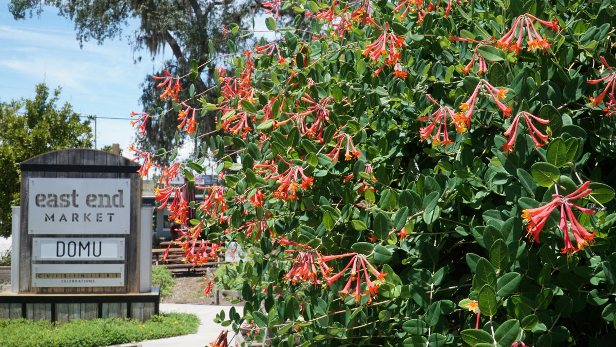 go-big-with-mega-foodie-challenges-in-orlando