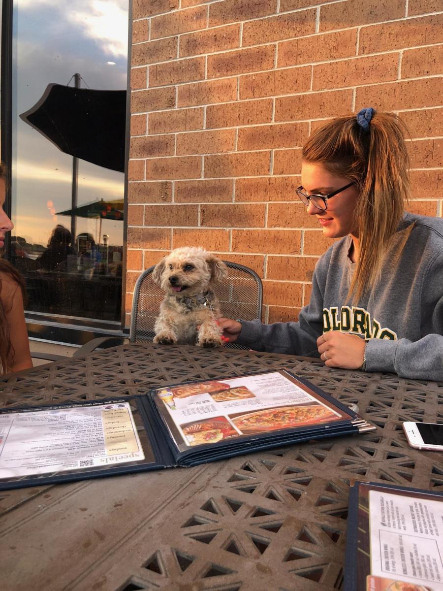 Pet Friendly Lodging Discover Oshkosh