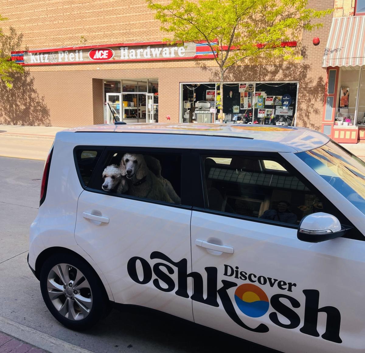 Petfriendly Places in Oshkosh