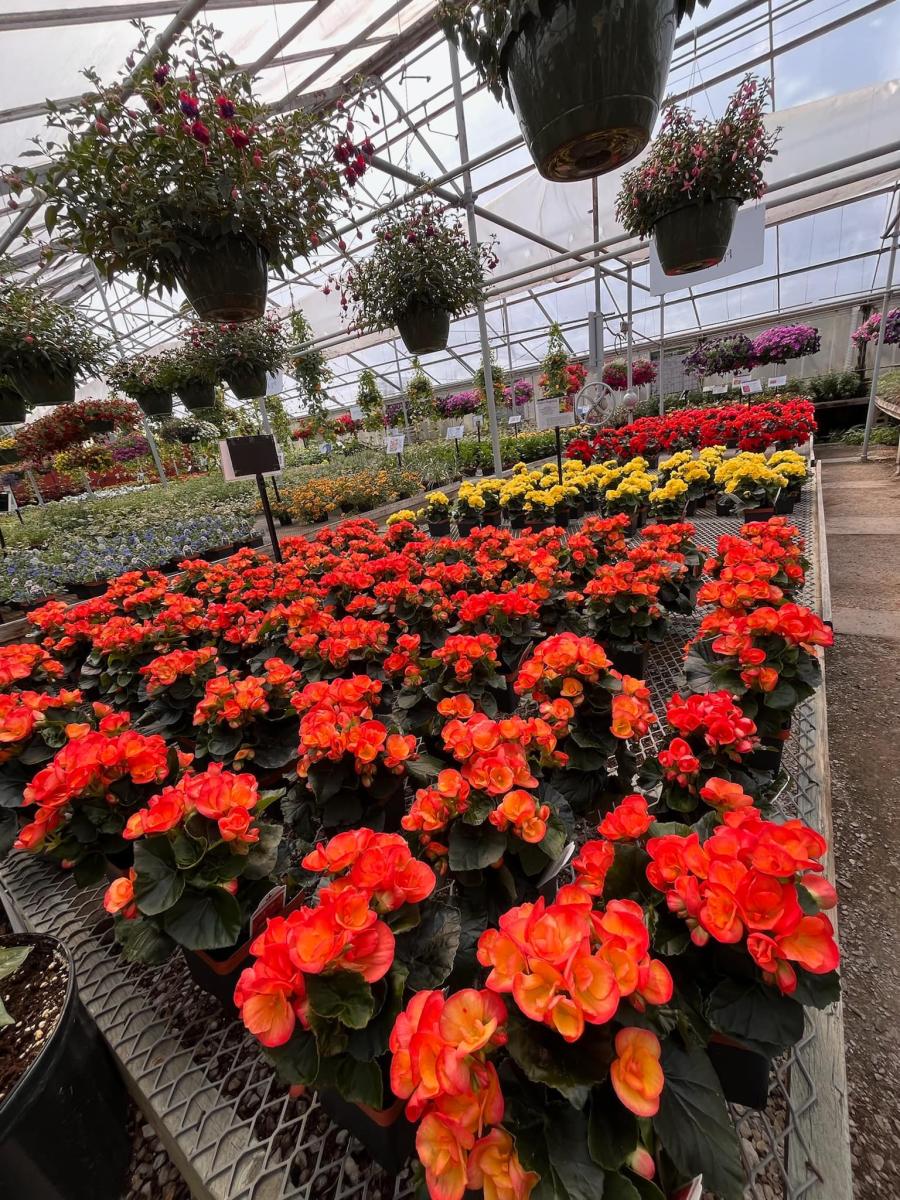 Oshkosh's Bloomin' Floral Shops & Garden Centers