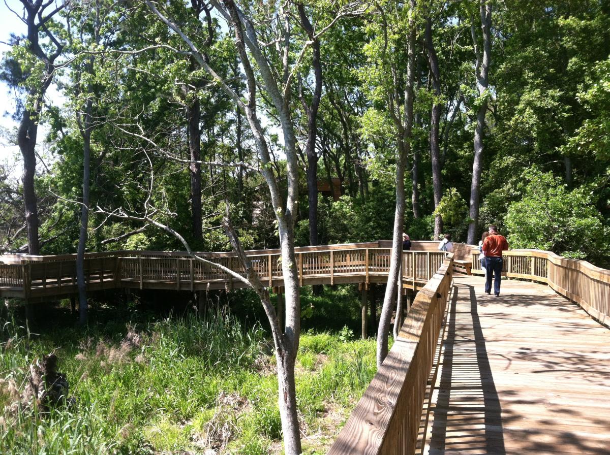 Outer Banks Hiking | Beaches, State Parks &amp; Nature Preserves