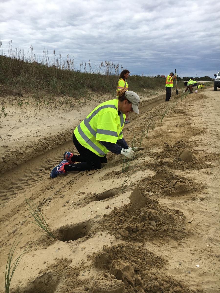 Volunteer on the Outer Banks | Non-Profits & Events
