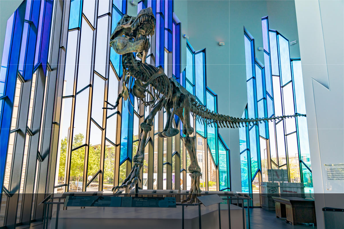 Museum at Prairiefire | Overland Park Natural History Museum