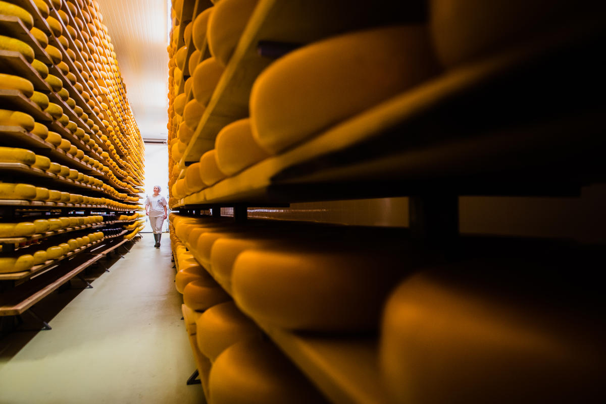 Cheese & Other Dairy