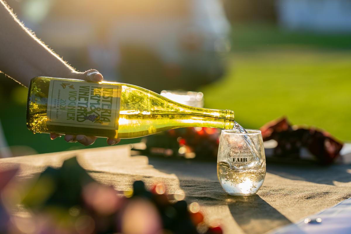 Taste of the Valley Festival Annual Events In Page Valley