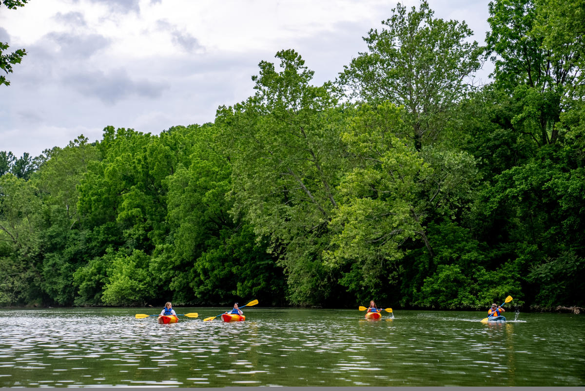 Explore Shenandoah River Kayaking, Canoeing & Tubing!