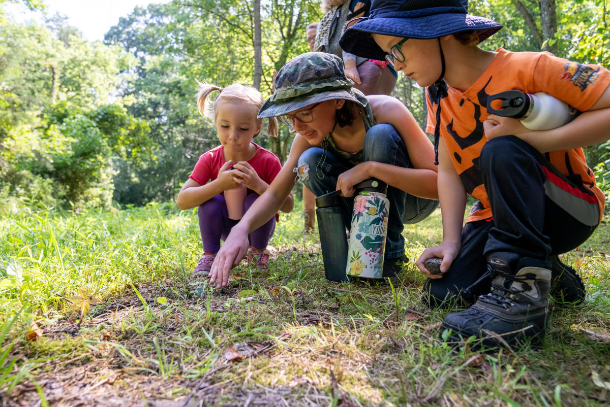 Page Valley Things To Do With Kids