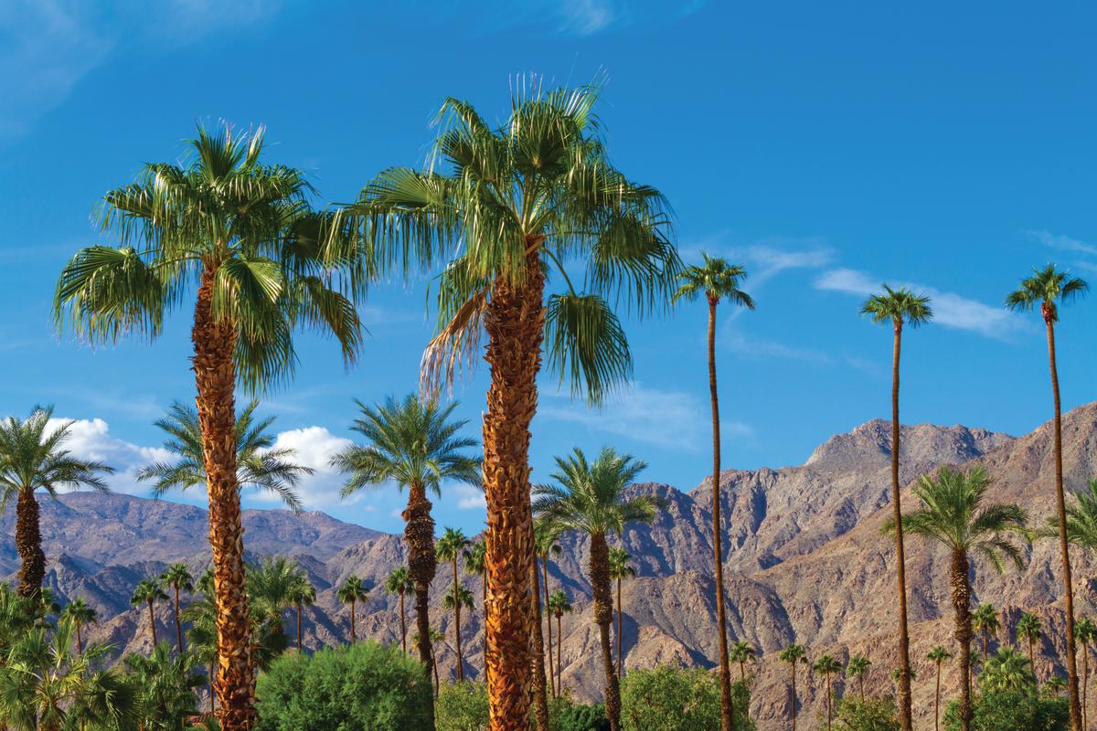 Things to do in Greater Palm Springs this February