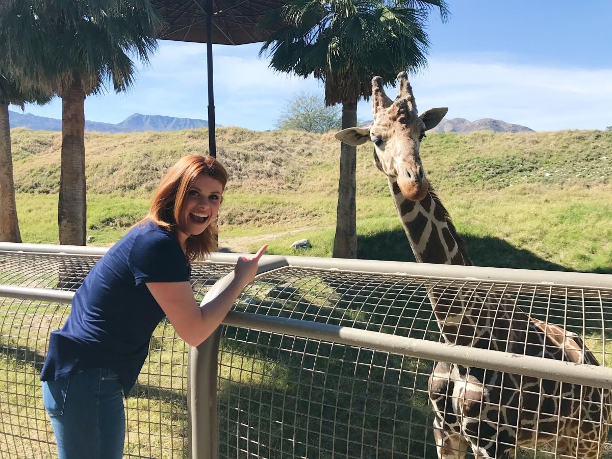 Unique Activities Off The Radar Action Defines Greater Palm Springs