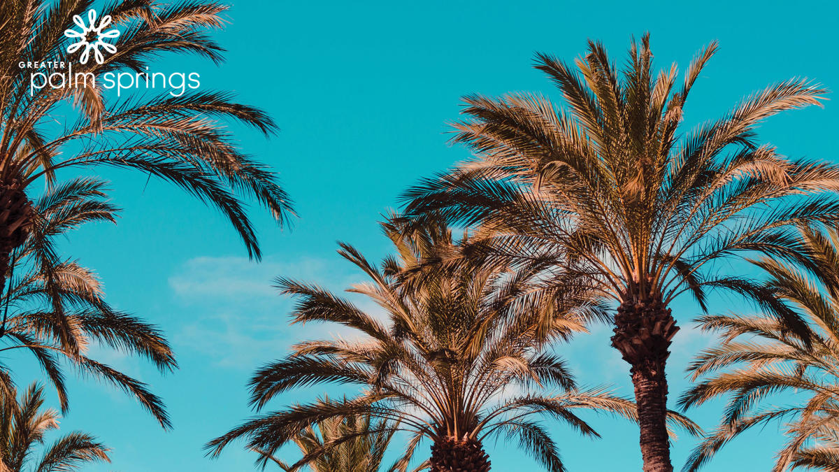 Tự do lượn lờ tại vùng đất nhiệt đới Greater Palm Springs! Hãy xem những hình ảnh liên quan để ngắm nhìn khung cảnh đất trời tuyệt vời và lấy cảm hứng cho những kế hoạch kỳ nghỉ tuyệt vời sắp tới!