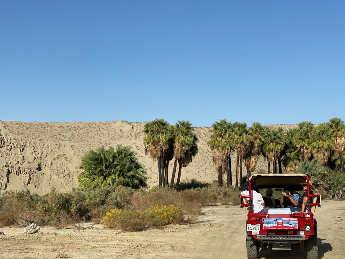 Things to Do in Greater Palm Springs Spring Break 2021