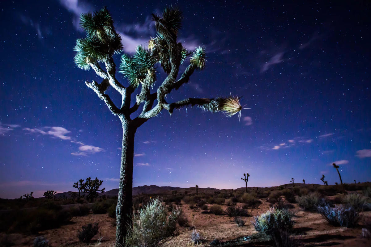 Joshua Tree Weather