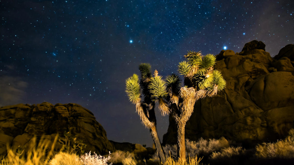 Joshua Tree Weather