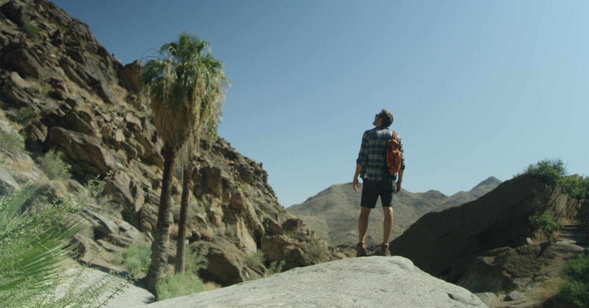 visitpalmsprings.com