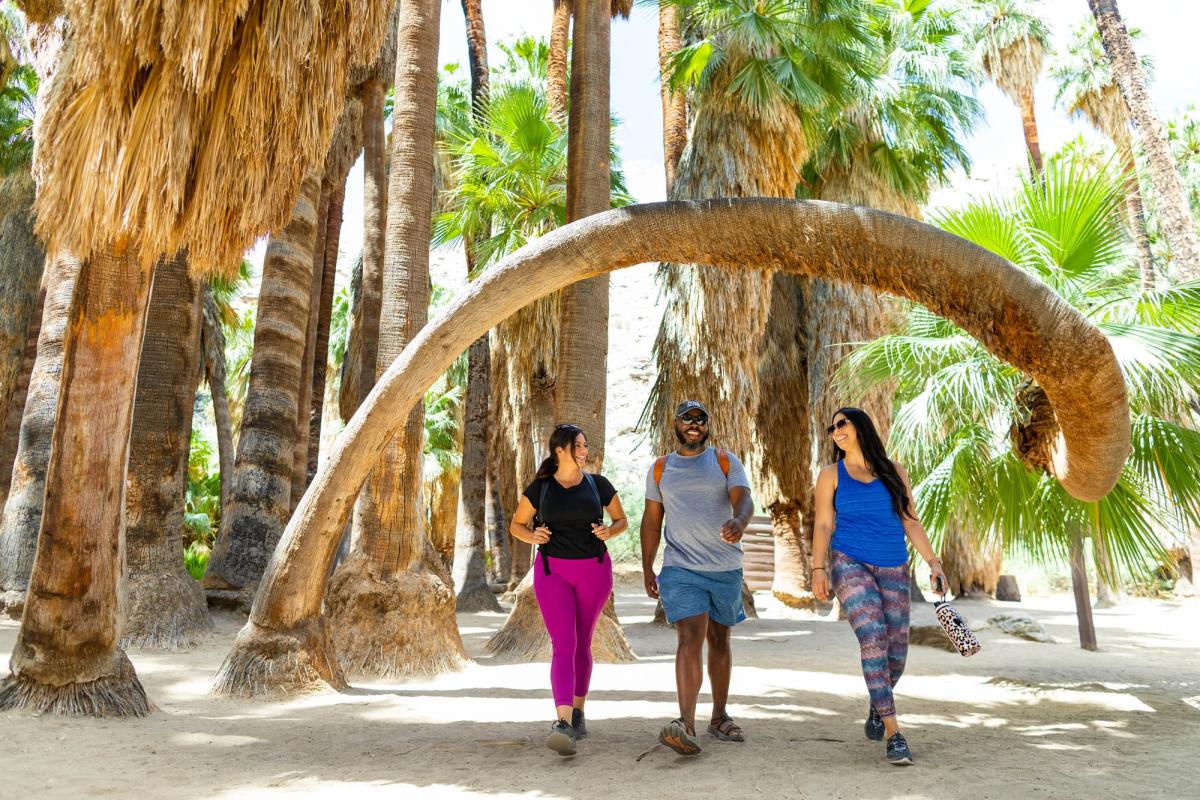 Rotation Spring Design Best Hiking Trails in Palm Springs | Ultimate Hiking Guide
