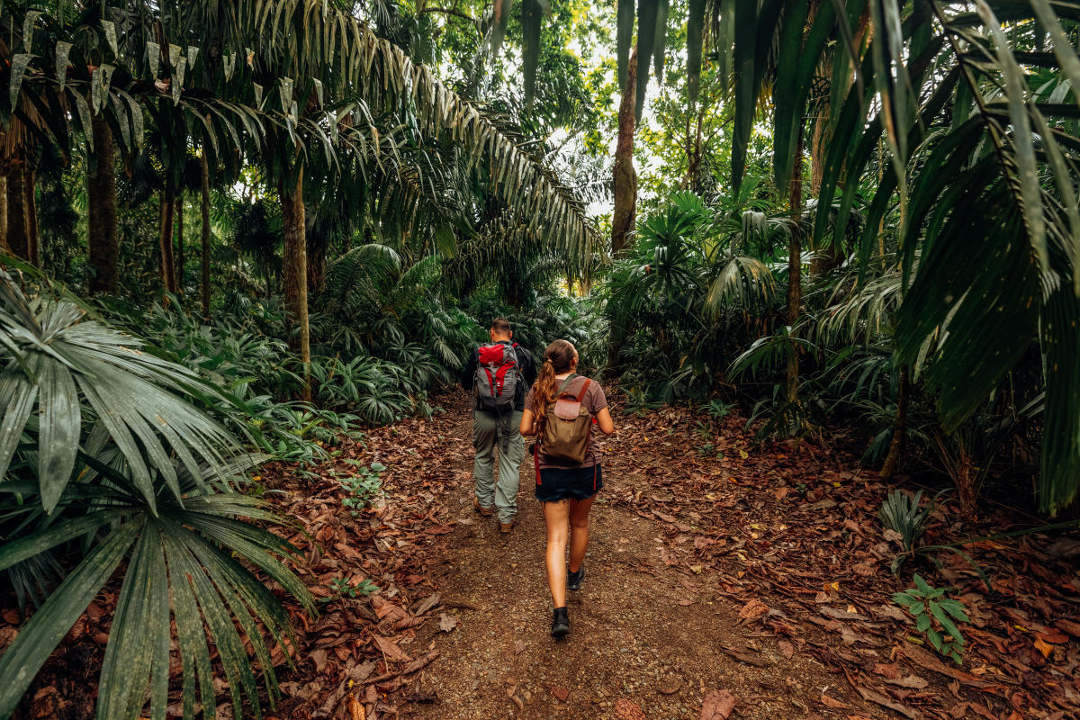 Hiking in Panama Mountain, Rainforest & Beach Hiking Trails