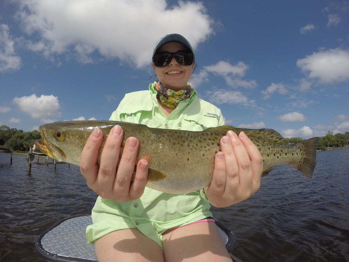 Speckled Trout and Redfish are on the Hunt
