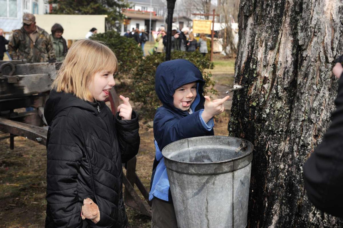 Maple Fest Pennsylvania Maple Festivals | Syrup Events & Tours