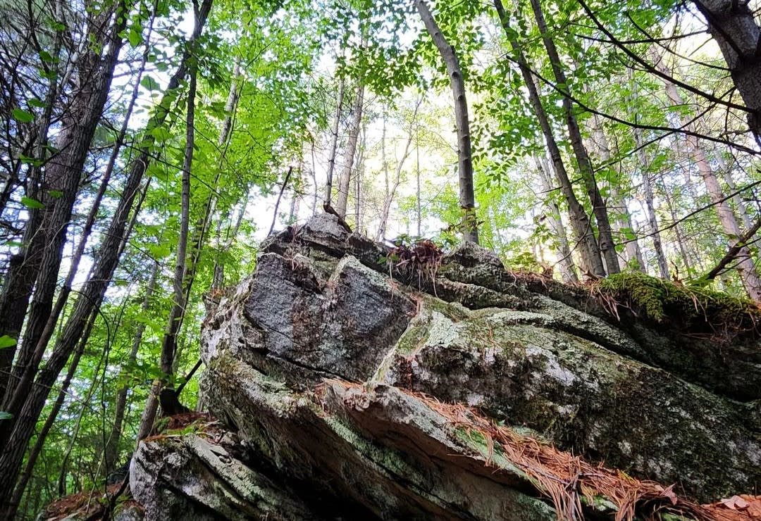 Hunters Rocks Pa Rock Climbing and Bouldering Experiences in PA