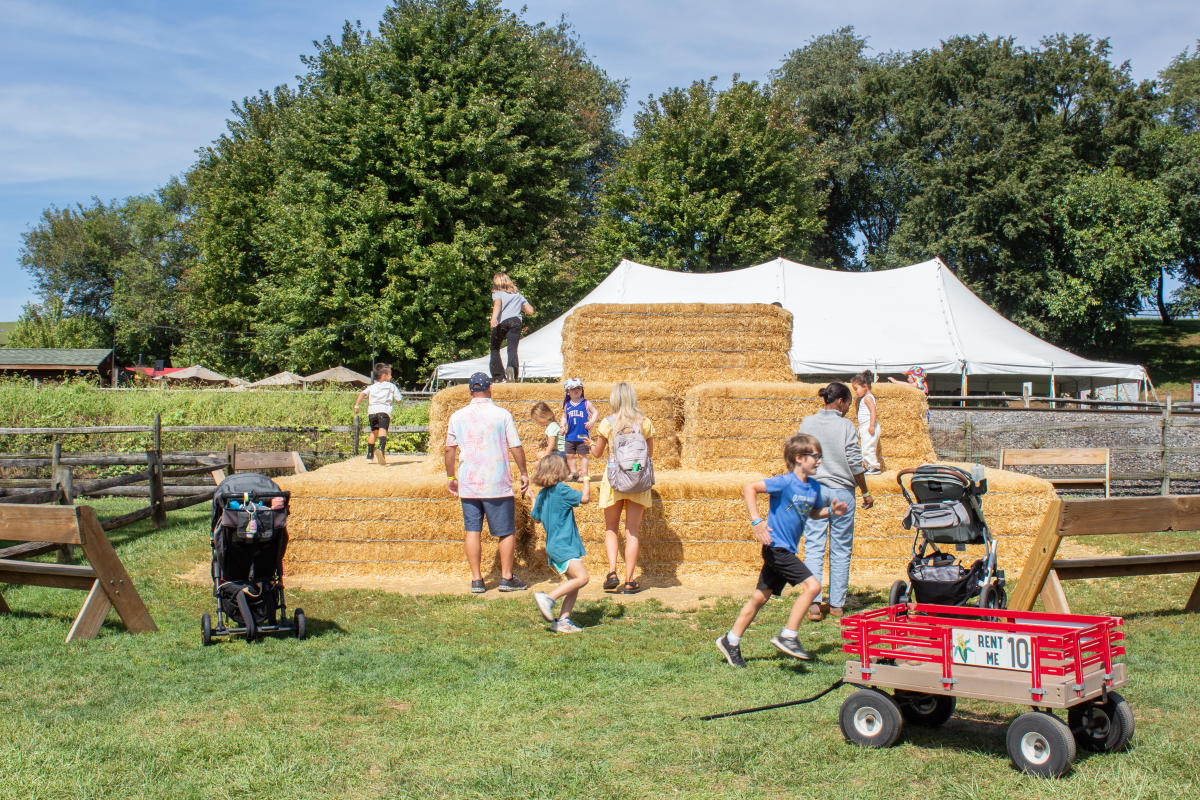 15 Things To Do this Fall in Berks County, PA